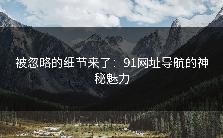 被忽略的细节来了：91网址导航的神秘魅力
